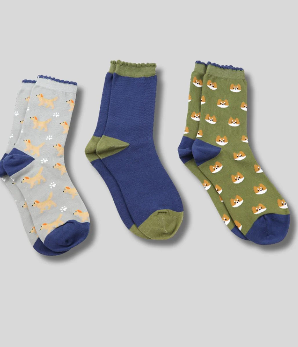 POM Dog Gift Boxed Sock Trio - Image 2
